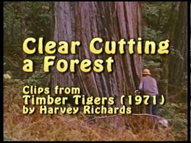 Clear Cutting a Forest