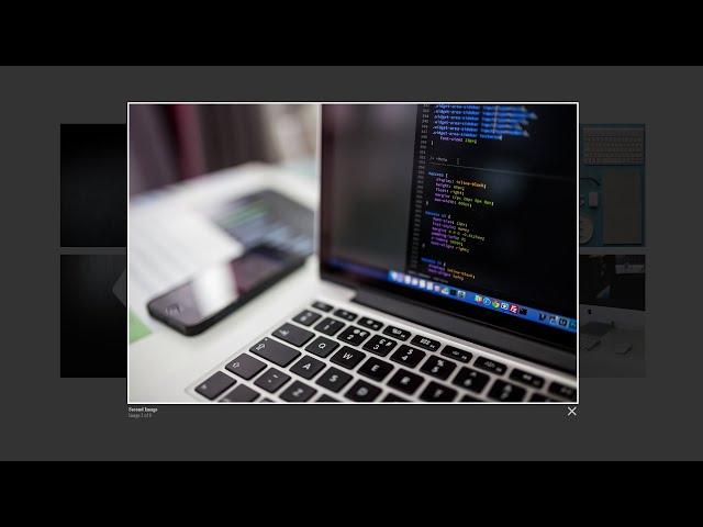 How To Make Responsive Image Gallery With HTML CSS JS | Lightbox Image Gallery Design