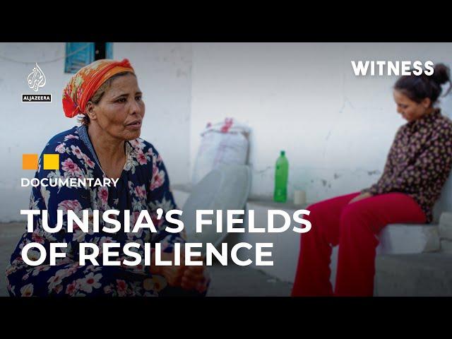 How a Tunisian farmworker risks everything to save her daughter | Witness Documentary