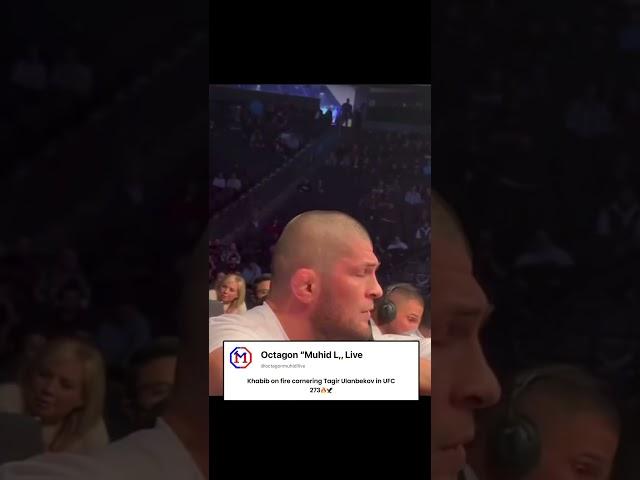 Khabib on fire in the corner #ufc #mma #fyp