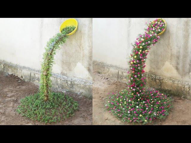 Beautiful Portulaca (Mossrose) planting waterfall garden ideas for small gardens