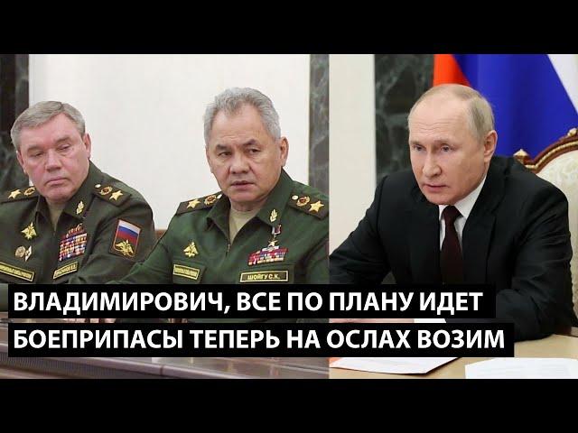 Владимирович, все по плану идет... БОЕПРИПАСЫ ТЕПЕРЬ НА ОСЛАХ ВОЗИМ