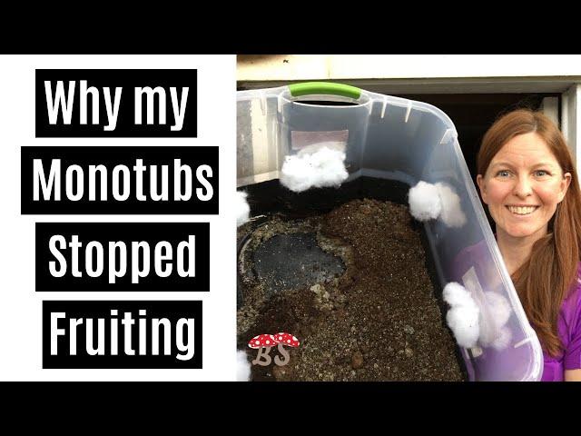 Why My Monotubs Stopped Fruiting & Contamination