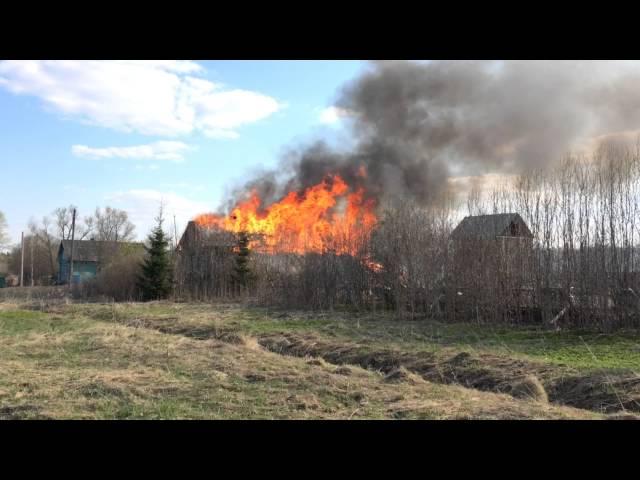 В Ивановской области сгорели дом и пасека