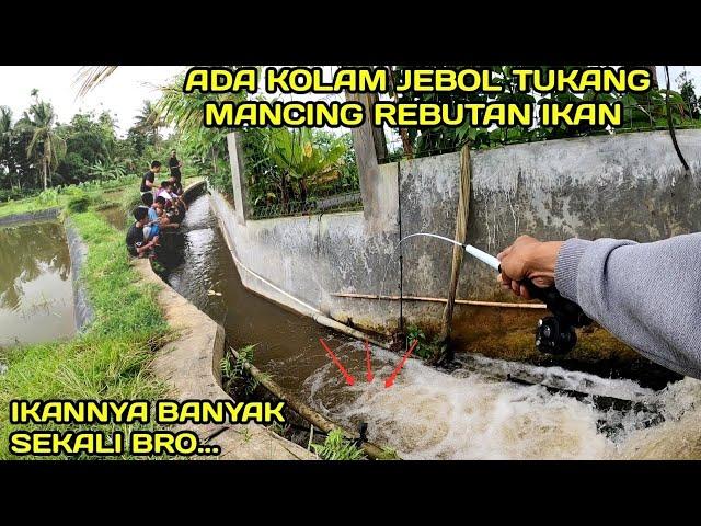 Mancing di Selokan Ada Kolam Jebol Tukang Mancing Rebutan ikan #LM18