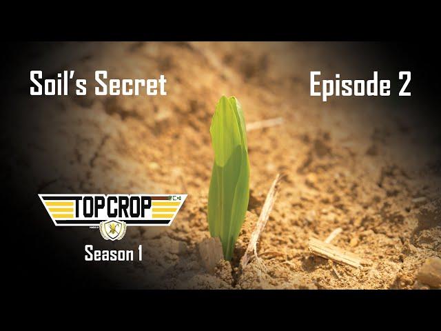 Top Crop | Episode 2