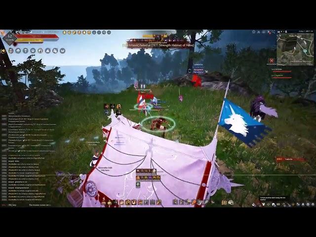 Black Desert Online Sea   When 2 Guardian Fighting Along Side   Best Moment PVP