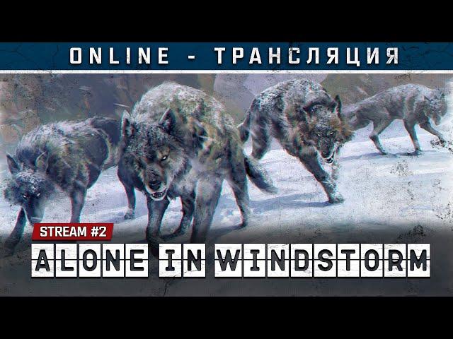 Alone In Windstorm Stream #2