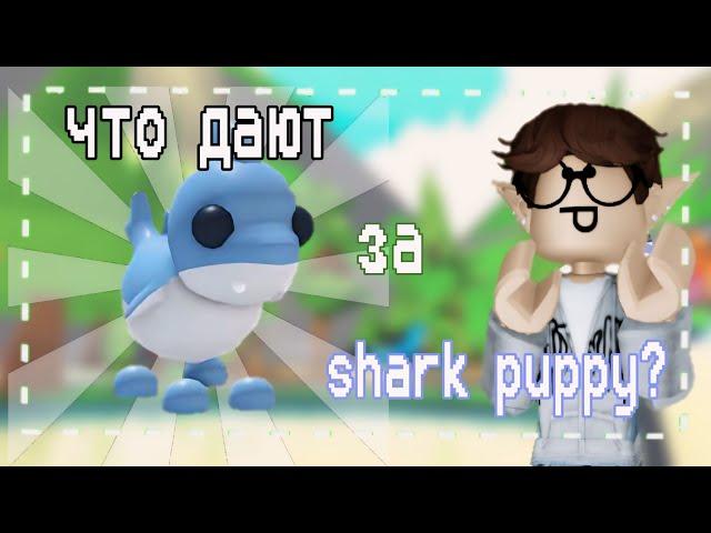 ЧТО ДАЮТ ЗА SHARK PUPPY В ADOPT ME УПАЛ В ЦЕНЕ?!