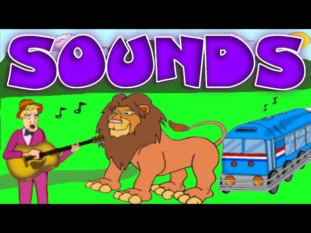 Learn All About Sounds: Animals, Musical Instruments, Noise Machines; Educational Videos for Kids