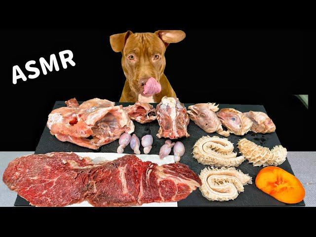 BEST ASMR MUKBANG PITBULL EATING RAW FOODS