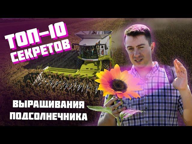 Именно поэтому и нет урожая. Смотри это видео, чтобы не повторять наших ошибок.