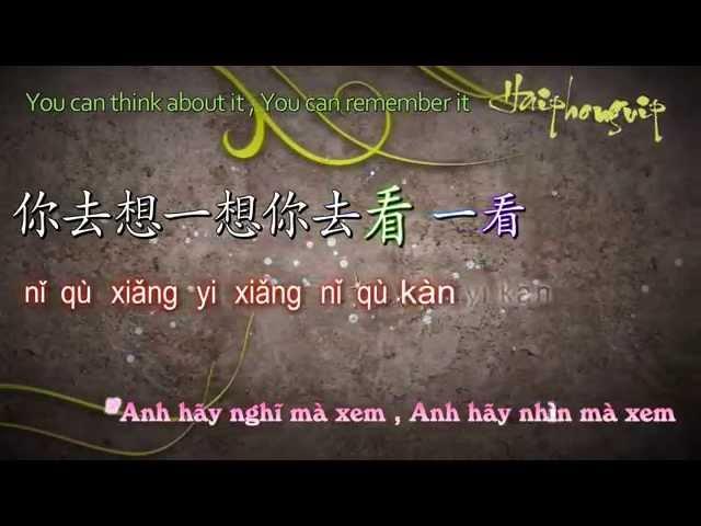 Ánh trăng nói hộ lòng em - 月亮代表我的心 [VietSub+kara] Pinyin