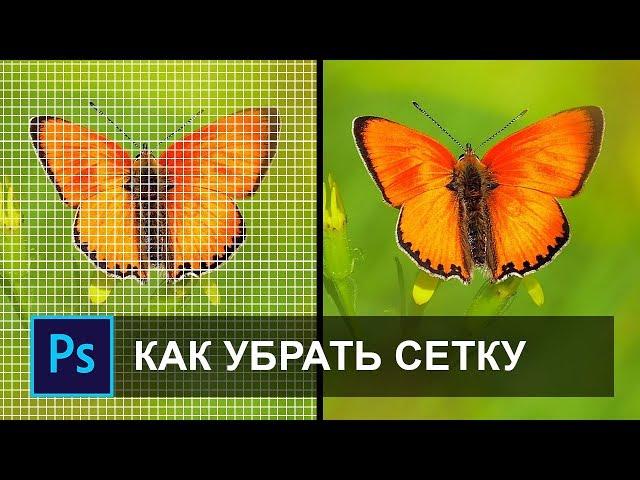 Как отключить пиксельную сетку в фотошопе