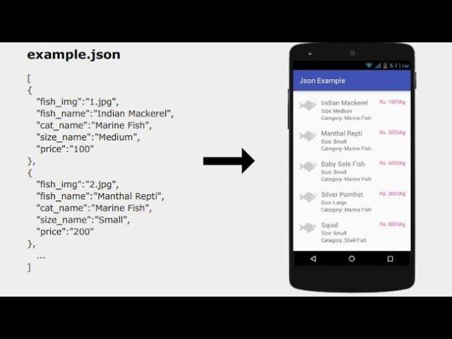 How to fetch JSON data using react js