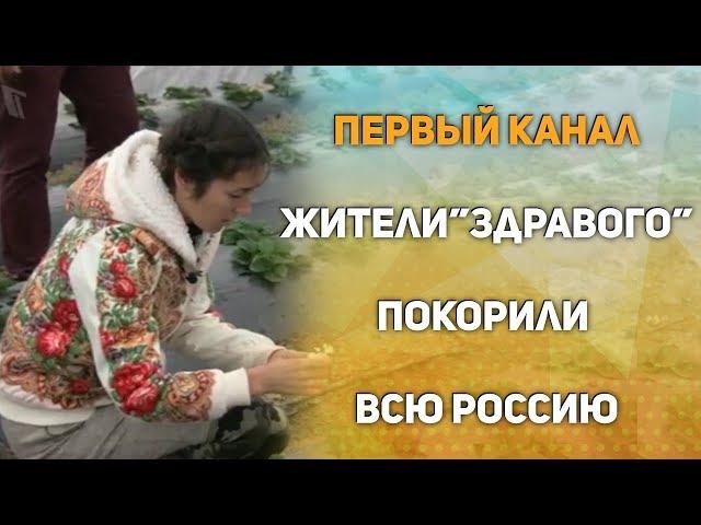 Первый канал о поселение "Здравое". Семья Шешеных променяла Петербург на жизнь за городом