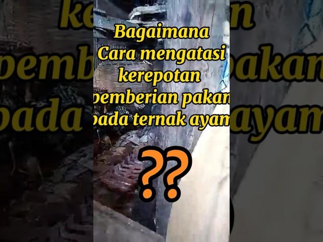 Solusi atasi kerepotan pemberian pakan dan minum ternak ayam -TIPI LOR'PINTU| inspirasi  #short