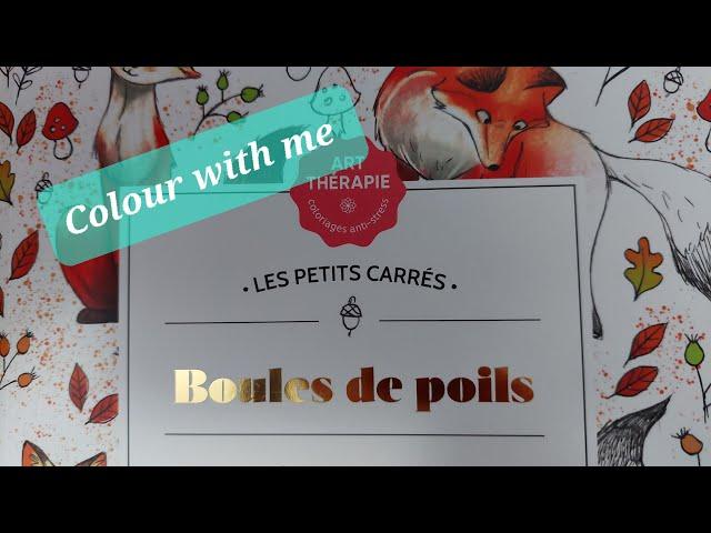 Colour with me in Boules de Poils (Fur Balls)- Siamese cats bubble bath fun.