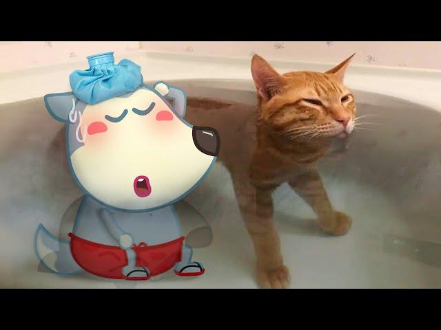 Funny Cat Loves Bathing with Wolfoo !!  Wolfoo in Real Life ! Funniest Cats And Dogs Videos