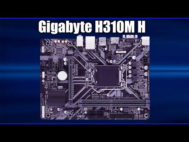 Материнская плата Gigabyte H310M H