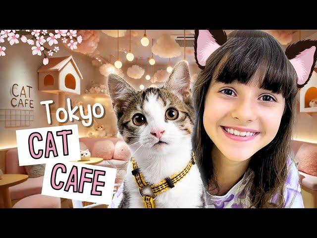 Coccoliamo gatti in un Cat Cafè a Tokyo!