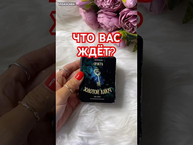  ЧТО ВАС ЖДЁТ Гадание на картах  #ведаскара #гадание #гаданиеонлайн