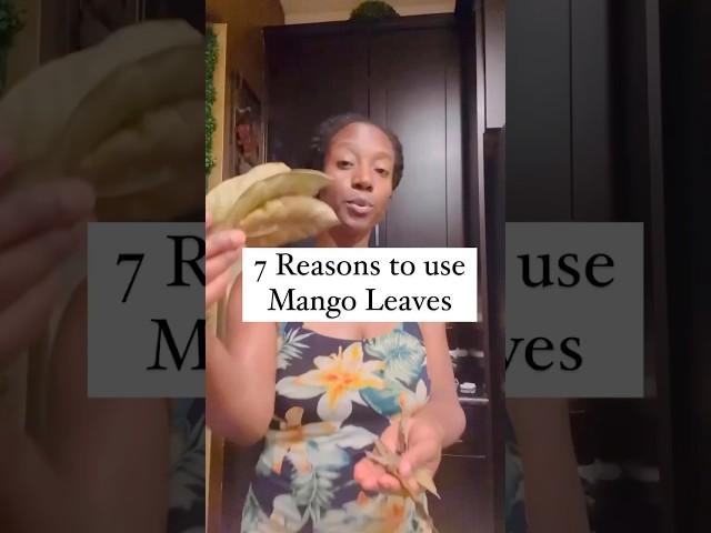 7 reasons to use mango leaves