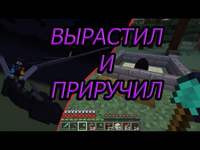 ПРИРУЧИЛ ДРАКОНА В MINECRAFT | КАК ВЫРАСТИТЬ И ПРИРУЧИТЬ ДРАКОНА В МАЙНКРАФТ