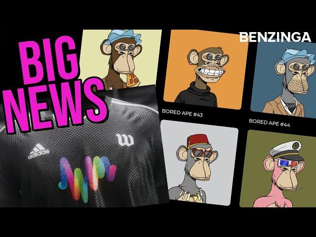 BAYC LAWSUIT, Top 10 NFTs, NFT NEWS | The Roadmap
