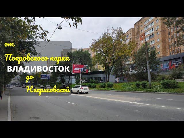 Владивосток октябрь 2024