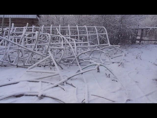 КОГДА Я ВЫСАЖИВАЮ РАССАДУ В ТОННЕЛИ? Ольга Чернова.