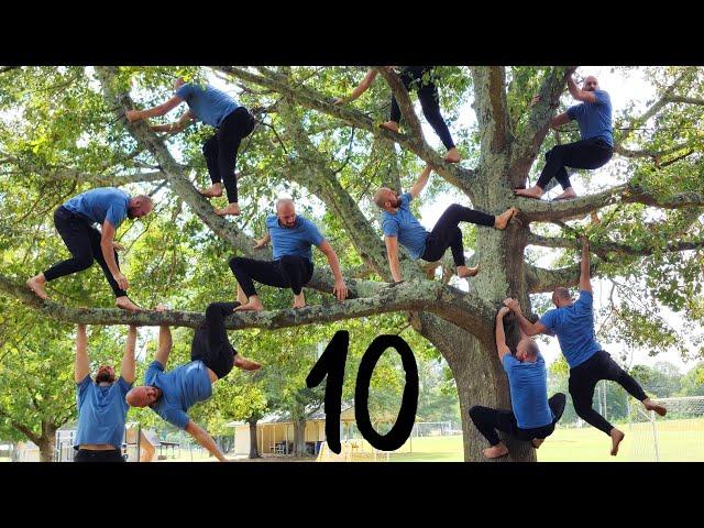 10 WAYS TO CLIMB A TREE (No Equipment) - Tutorials