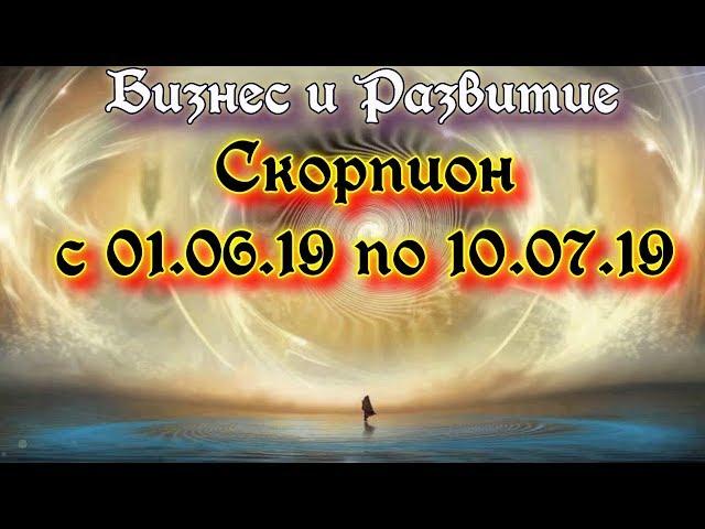 СКОРПИОН "БИЗНЕС И РАЗВИТИЕ" с 01.06 по 07.07 2019г от ОКЕАНЫ ТАРО