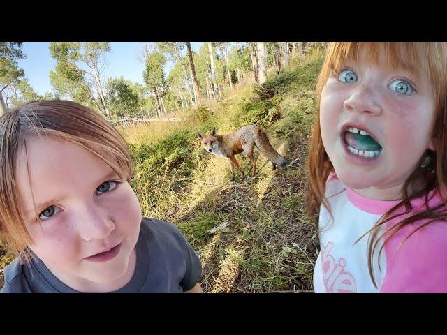 FEEDiNG A REAL FOX  Camping with Animals, Adley catches a Fish, Best family trip to the cabin Ever