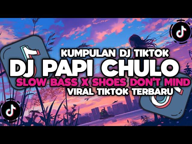 DJ CAMPURAN VIRAL TIKTOK 2024 TERBARU || DJ PAPI CHULO SLOW BASS X SHOES DON'T MIND