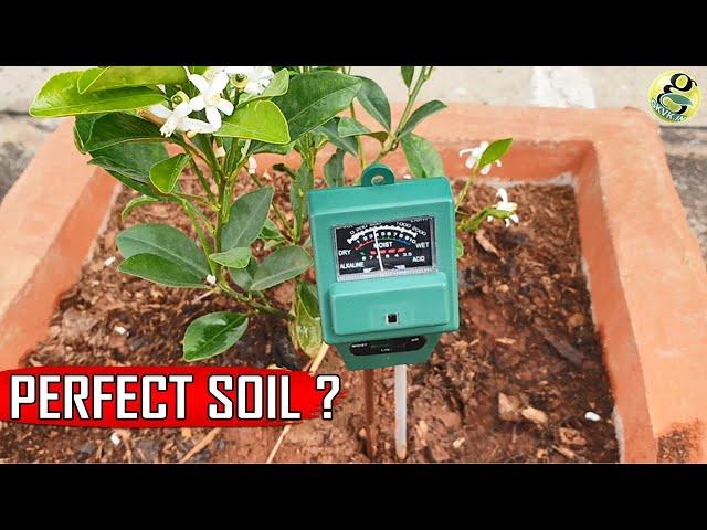 PERFECT SOIL PH: 10 Natural Ways to Achieve Ideal PH for Plants