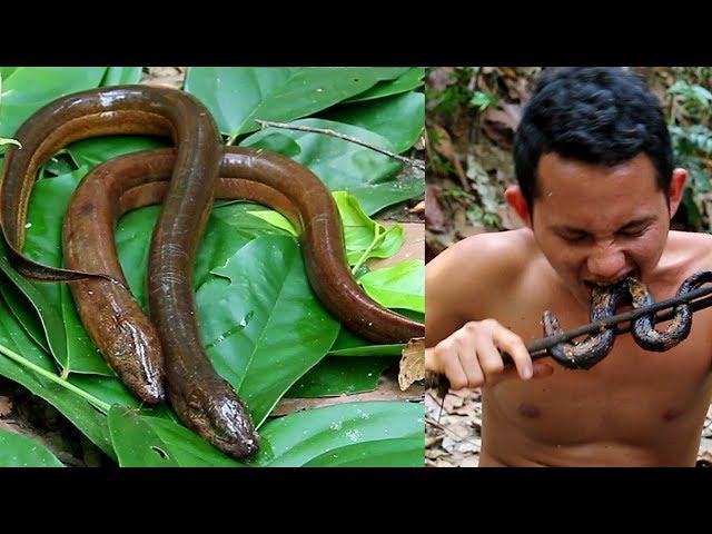 Wilderness Life: Eel Trap | Show Find Hunting Eels living In Ancient Times to survival