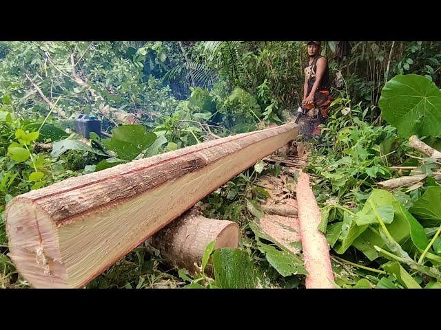 How to make 2x2 instantly||Incredible chainsaw works//totordz Tv