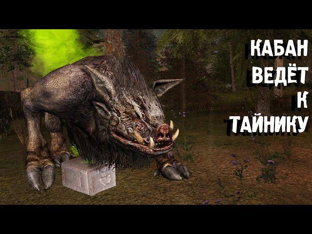 Кабан ведёт к тайнику. STALKER Путешествие #5