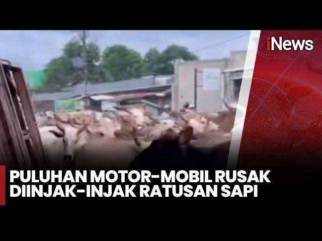 [FULL] Rombongan Sapi Tabrak Pengguna Jalan - iNews Prime 27/12