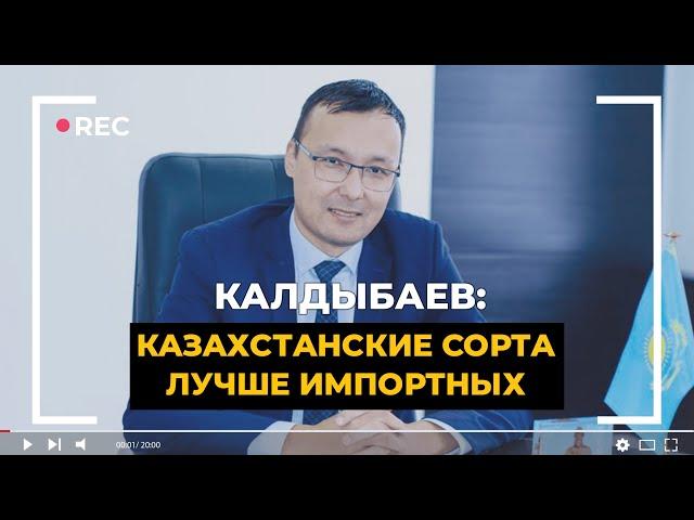 Нельзя перекладывать на казахских фермеров бремя семеноводства / Калдыбаев / ElDala.kz