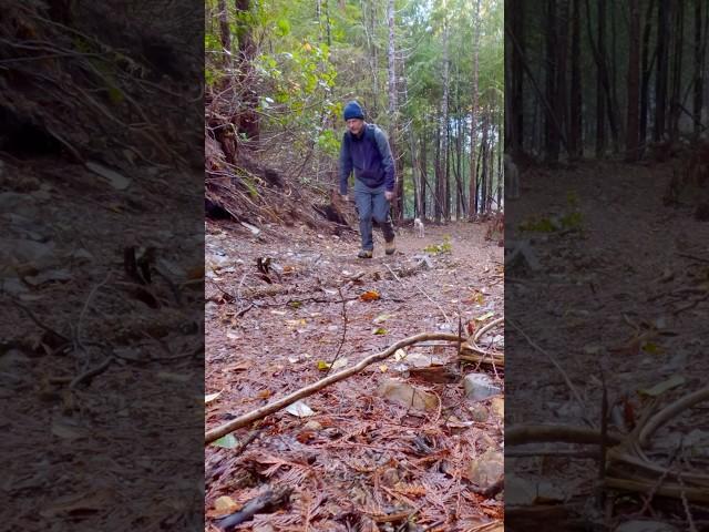 Did we make it TOO steep?!  #offgridcabin #throwbackthursday