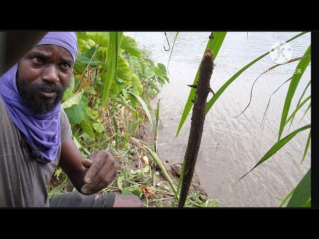 Fishing on the river side || Look what I caught  || Must watch || #Adventure