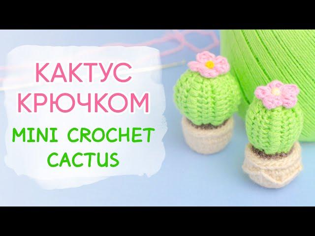 Цветущий кактус крючком | Crochet Cactus Free Pattern