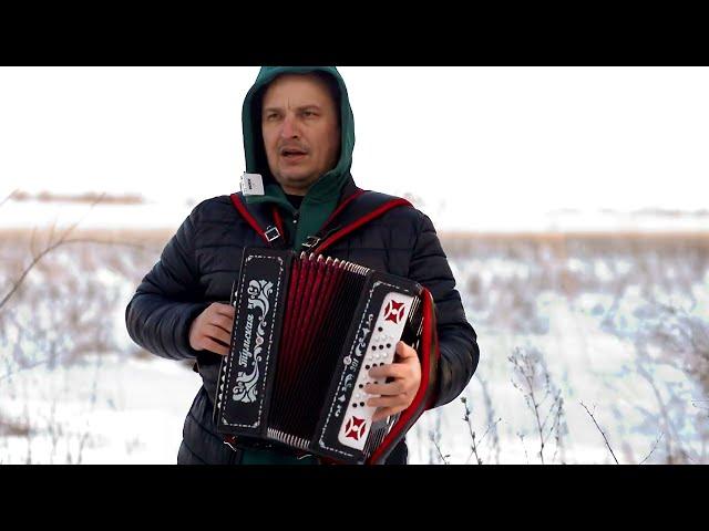 Любо братцы. Песня под гармонь.