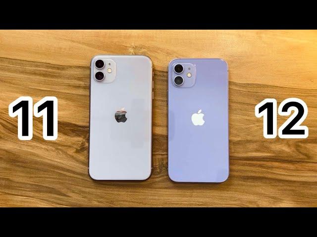 iPhone 11 vs iPhone 12