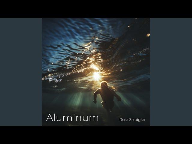 Aluminum