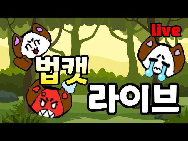 법캣 라이브 방송!!!