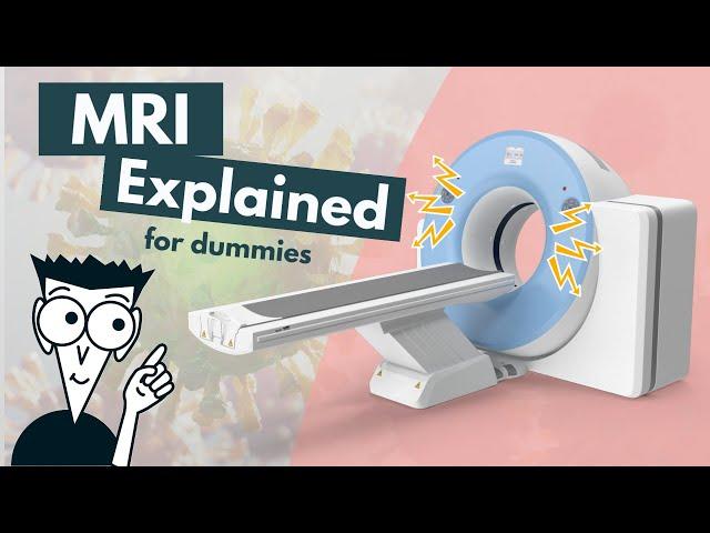 How does an MRI work? | MRI basics explained | Animation