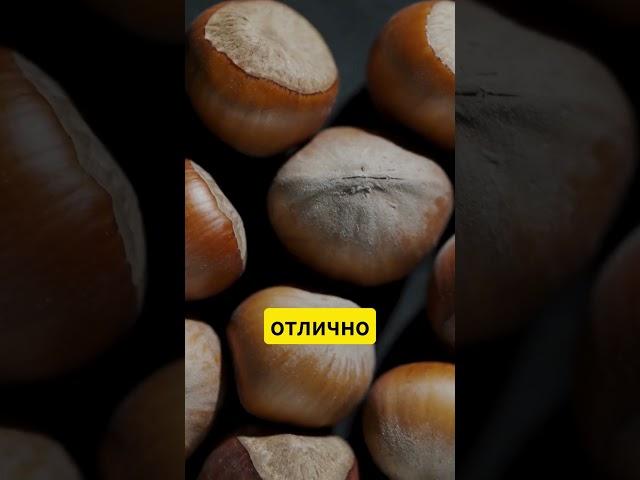 Орехи — магний и жиры для сосудов #орехи #сосуды #здоровье #питание #минутказдоровья